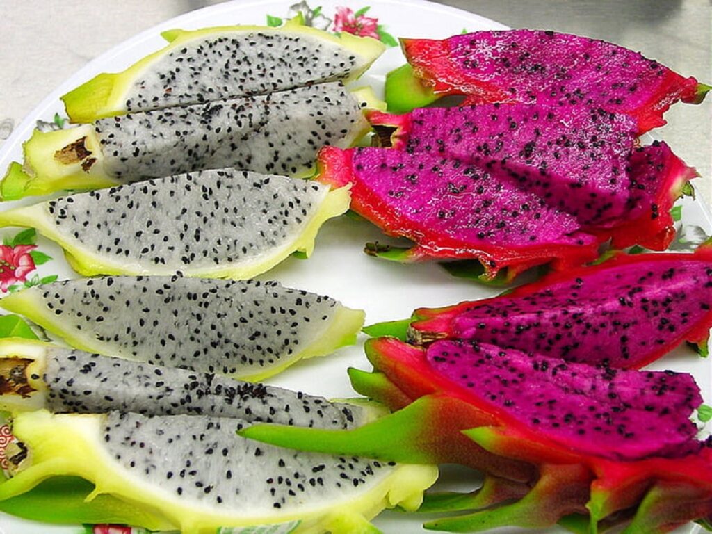 Dragon Fruit Yellow vs Red